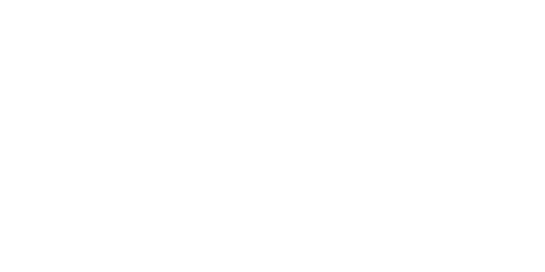 Flash Networks
